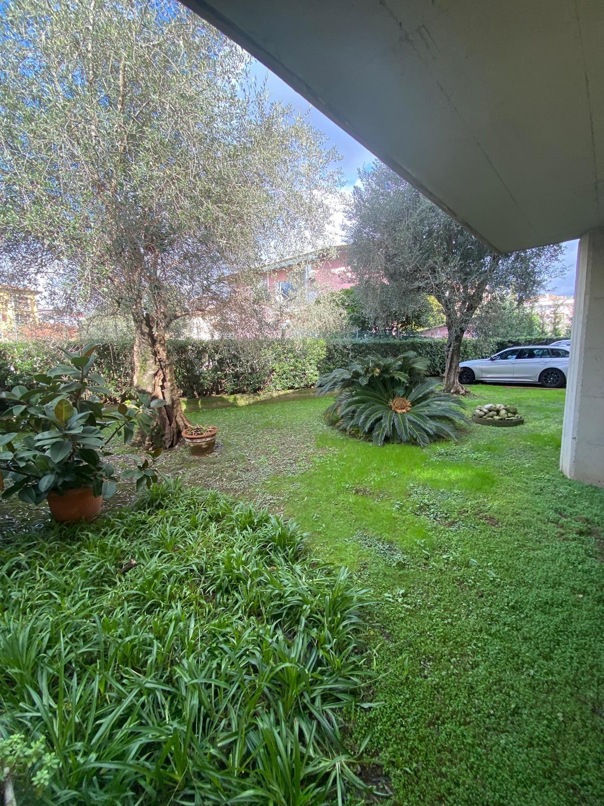 Appartamento in vendita, Massa zona viali