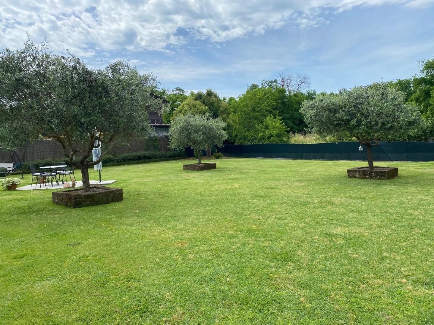 Casa indipendente con giardino, Massa romagnano