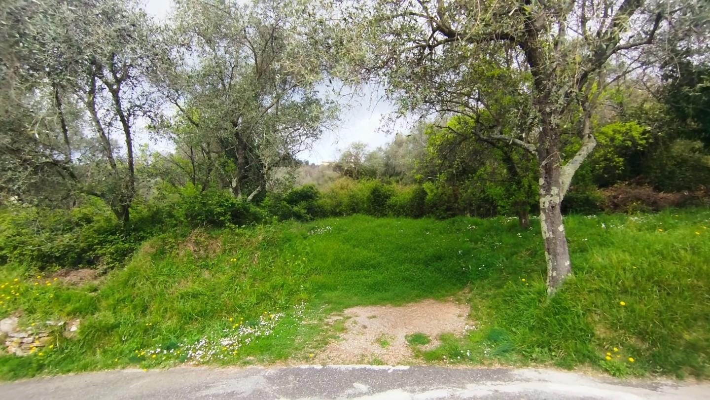 Terreno Agricolo in vendita, Fosdinovo paghezzana