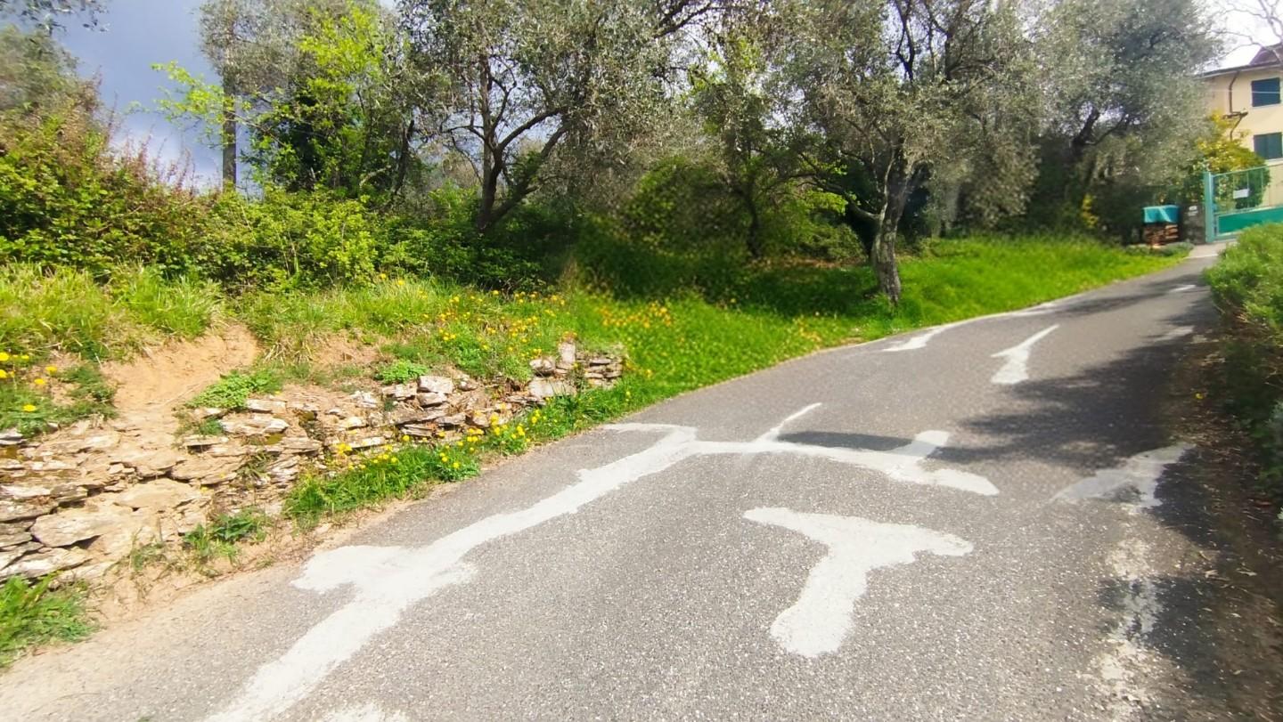 Terreno Agricolo in vendita, Fosdinovo paghezzana