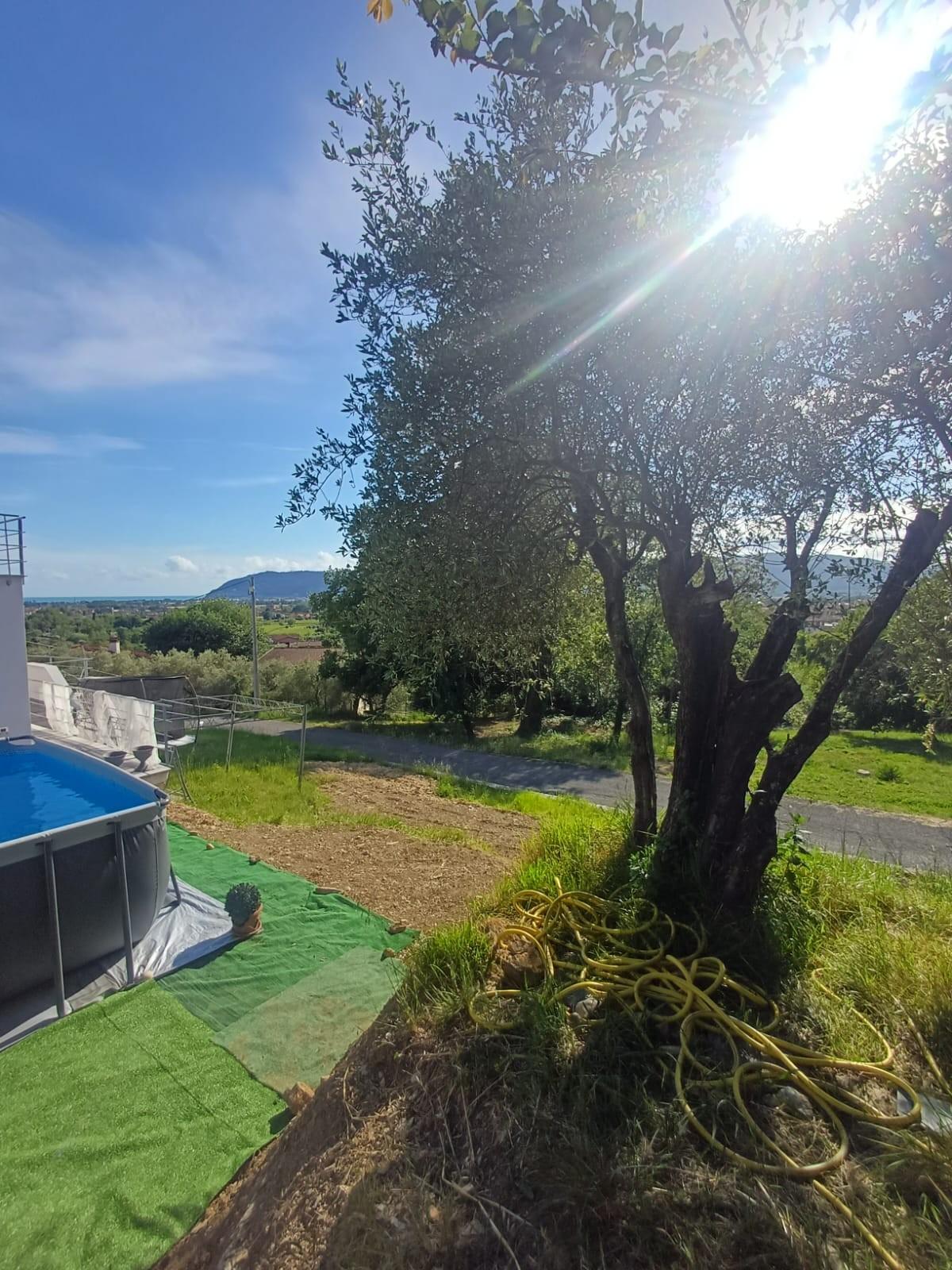 Villa arredata in affitto, Castelnuovo Magra palvotrisia