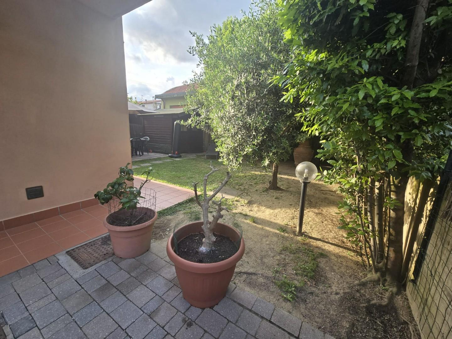 immagine annuncio 5 di 6