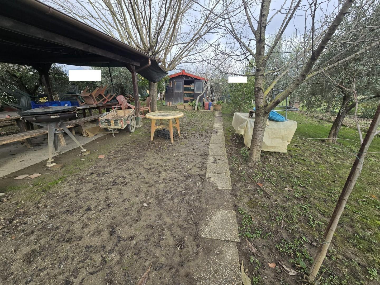 Terreno Agricolo in vendita, Calcinaia fornacette