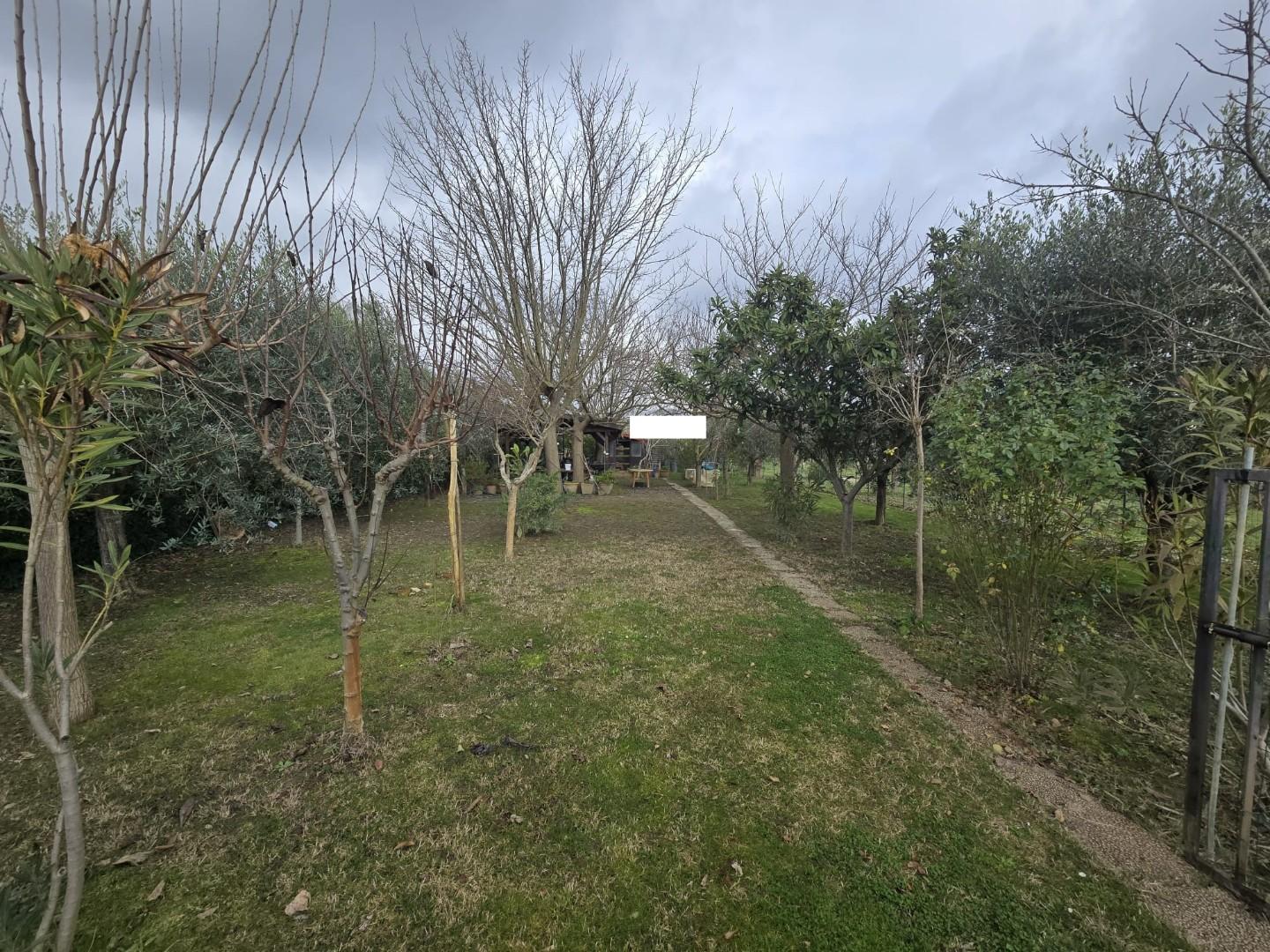 Terreno Agricolo in vendita, Calcinaia fornacette