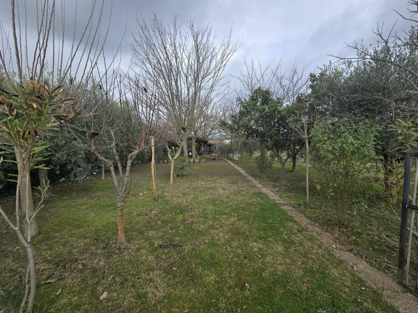 Terreno Agricolo in vendita, Calcinaia fornacette