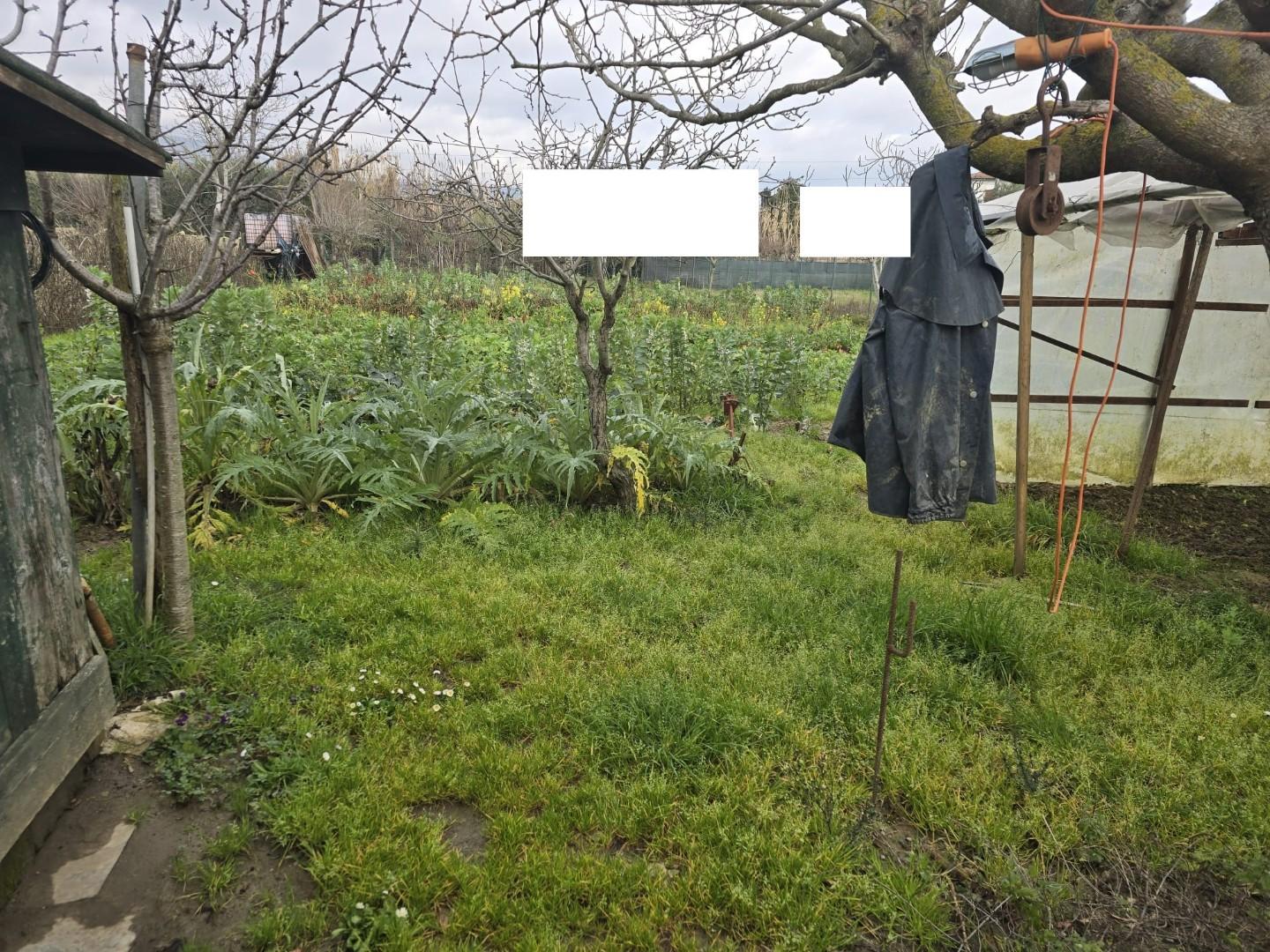 Terreno Agricolo in vendita, Calcinaia fornacette