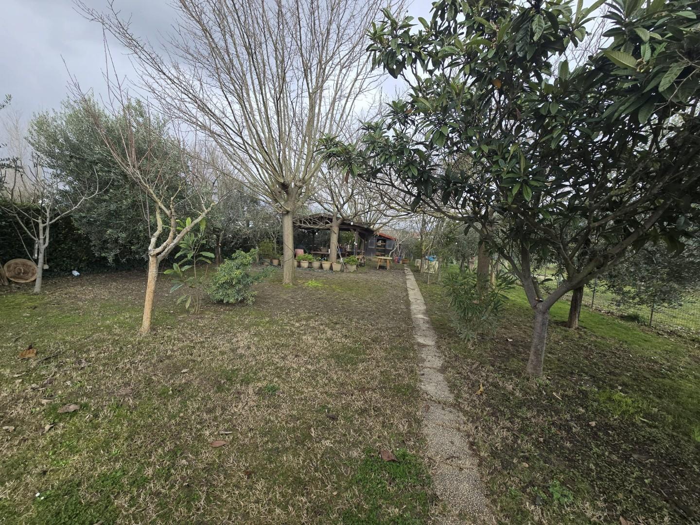 Terreno Agricolo in vendita, Calcinaia fornacette