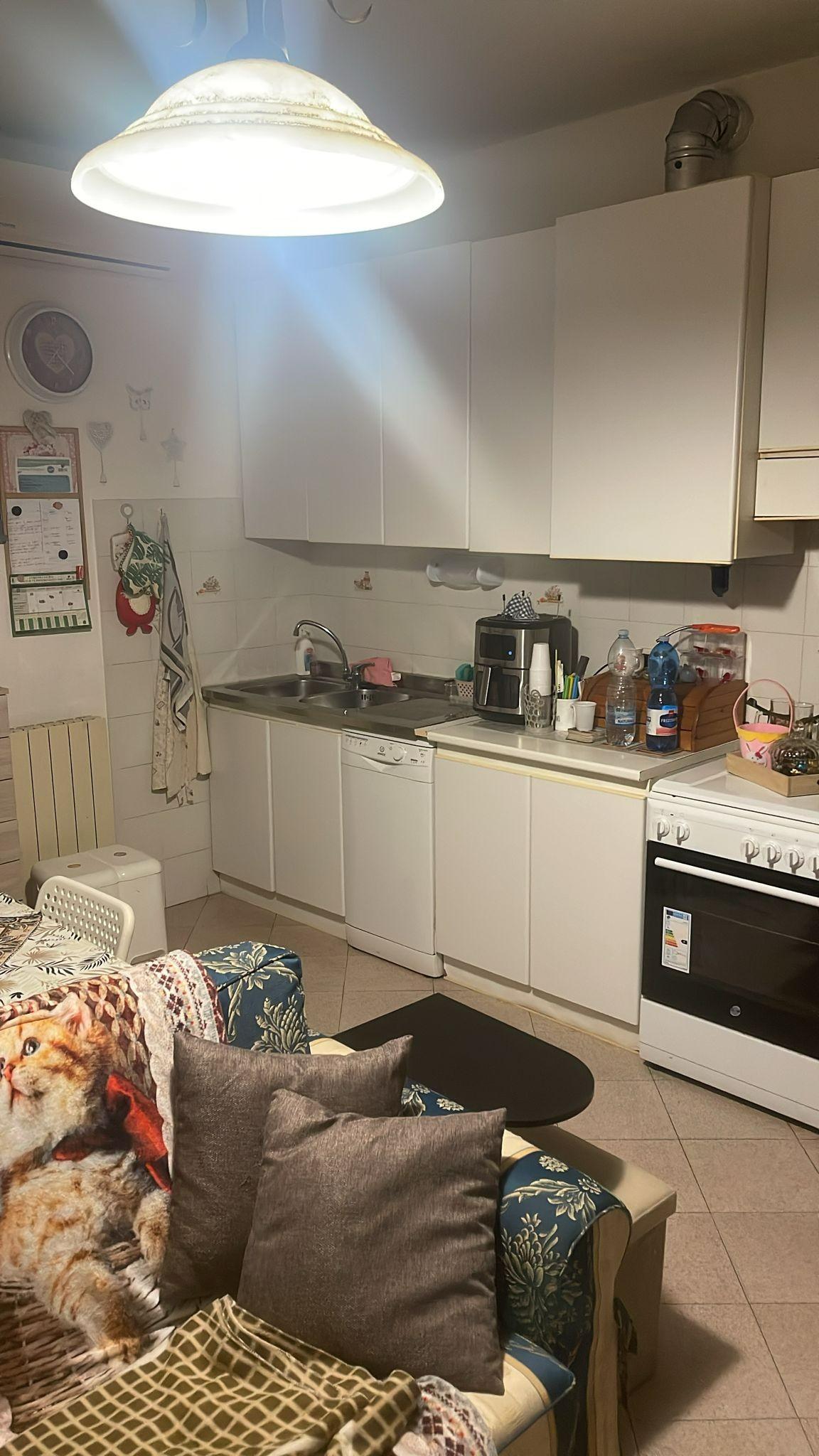 Bilocale con terrazzo, Cascina navacchio