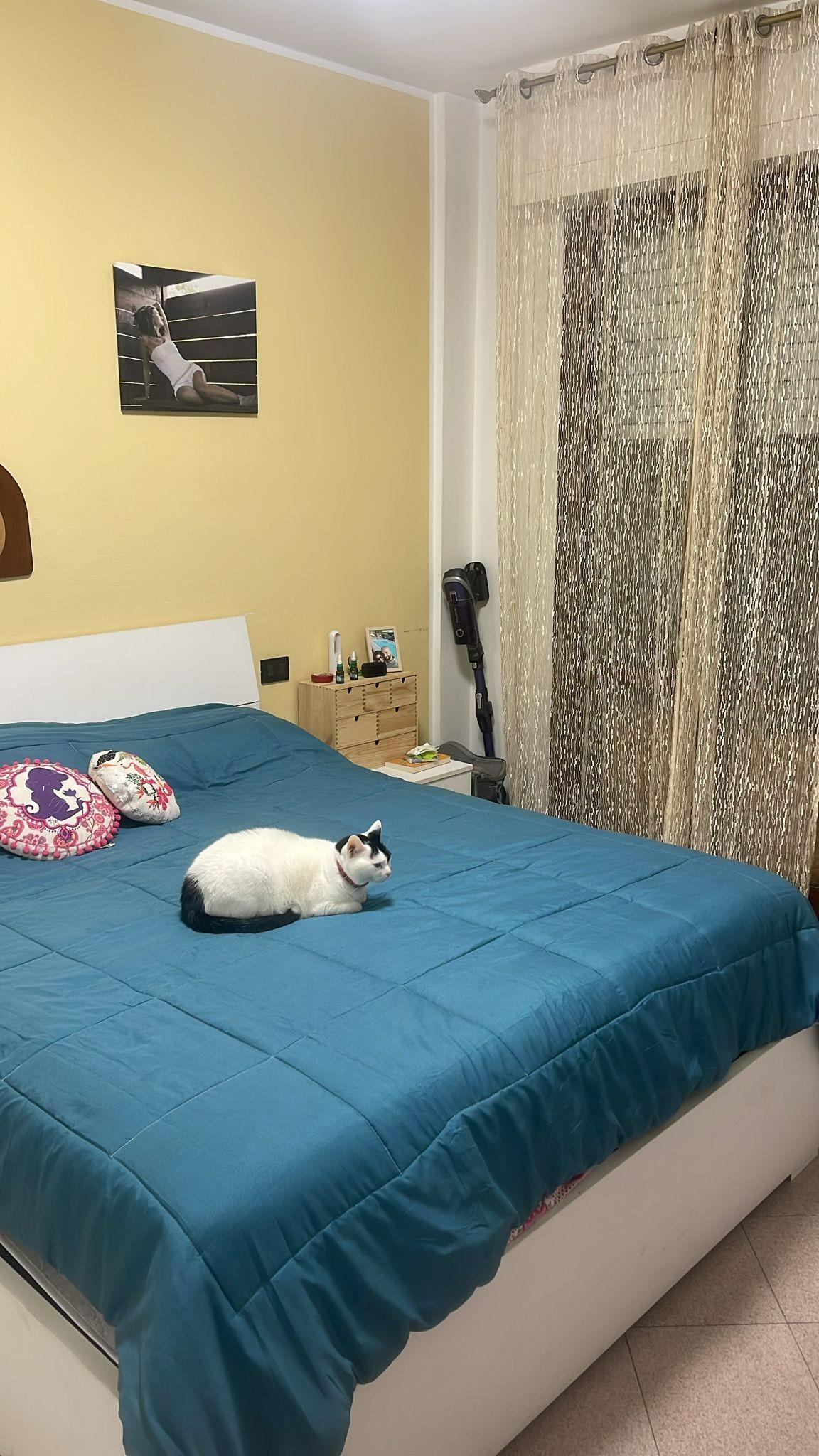 Bilocale con terrazzo, Cascina navacchio