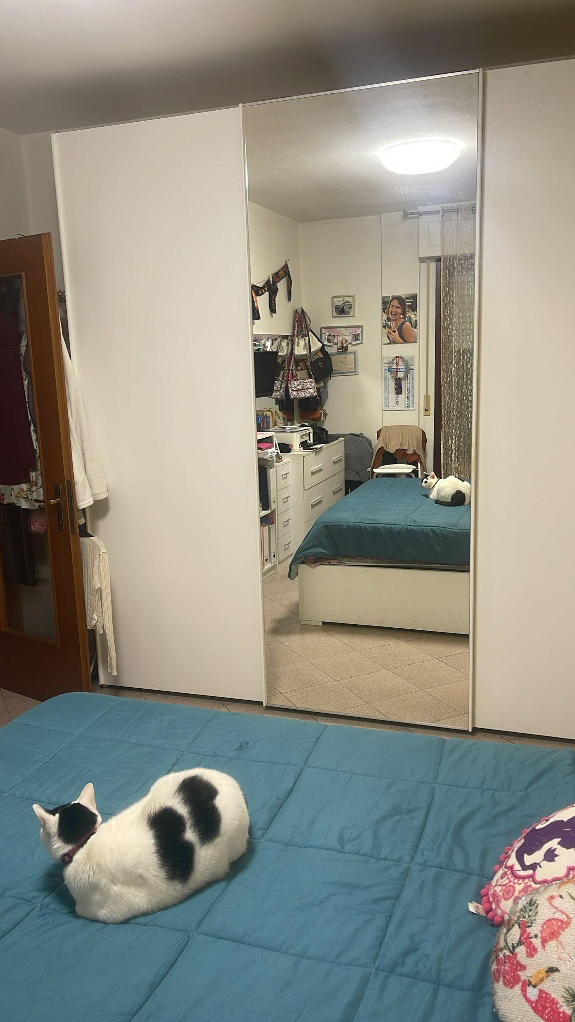 Bilocale con terrazzo, Cascina navacchio