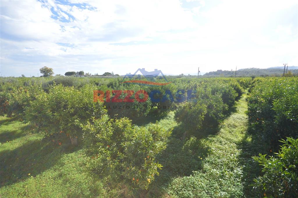 Terreno Agricolo in vendita in c.da fabbrica, Corigliano-Rossano