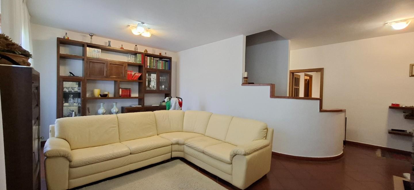 immagine annuncio 3 di 6