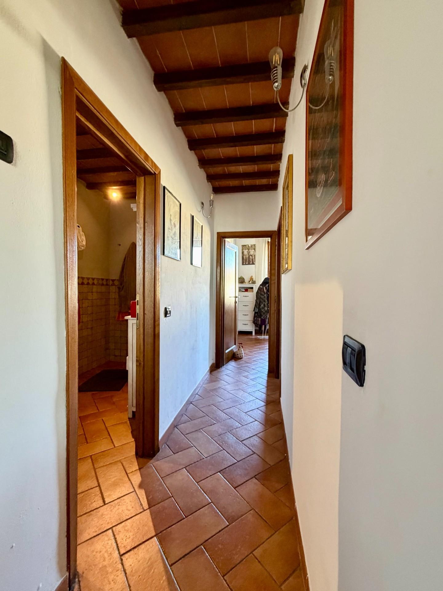 Rustico con giardino, Signa san mauro a