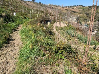 Terreno in vendita in via coste d'agnano, Pozzuoli