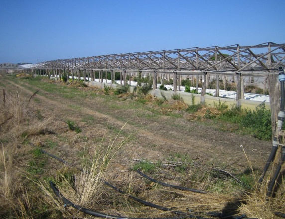 Terreno in vendita in via roma, Sperlonga