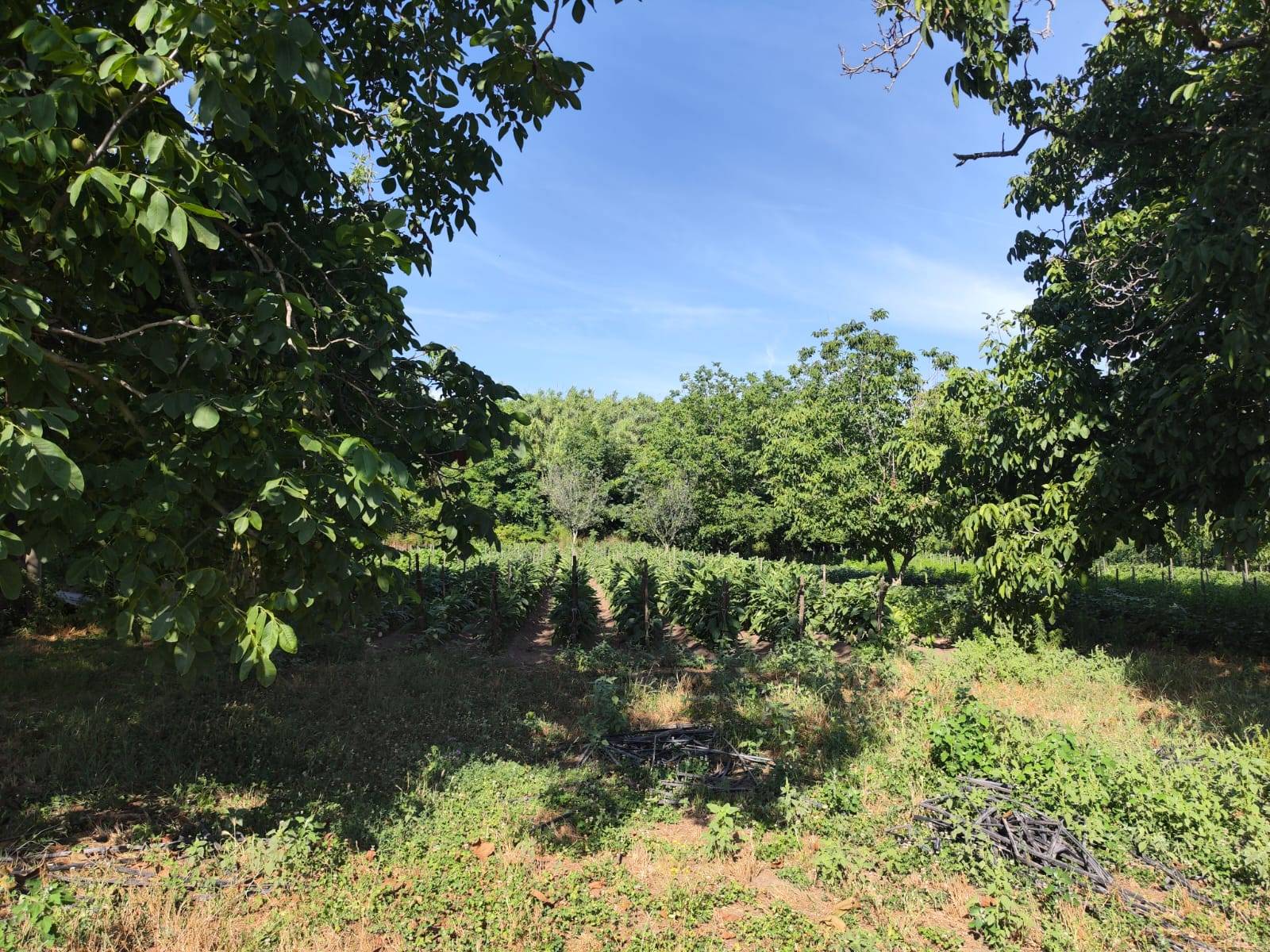 Terreno in vendita a Pomigliano d'Arco