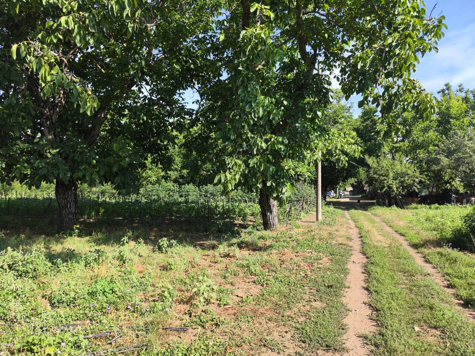 Terreno Agricolo in vendita a Pomigliano d'Arco