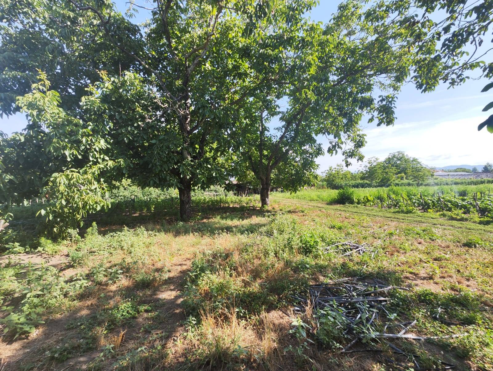 Terreno Agricolo in vendita a Pomigliano d'Arco