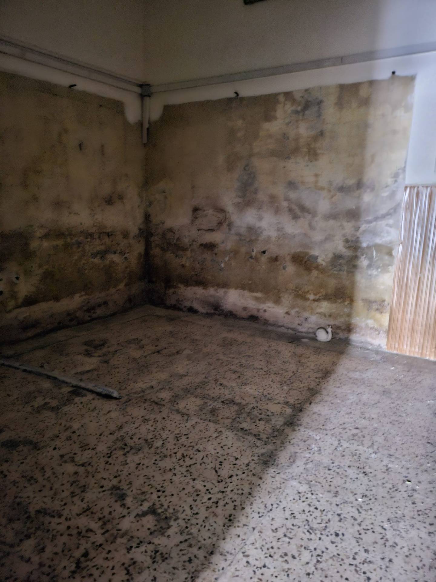 Locale commerciale in affitto a Pomigliano d'Arco