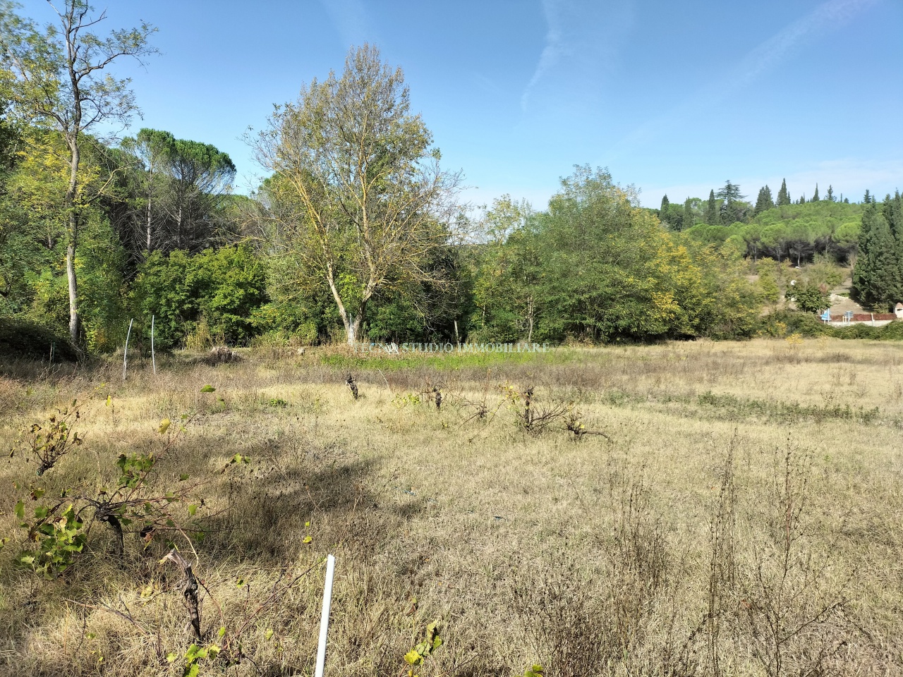Terreno in vendita a Impruneta