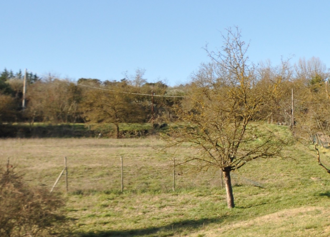 Terreno in vendita a Impruneta
