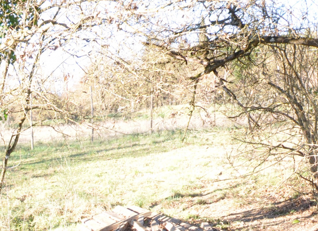 Terreno in vendita a Impruneta