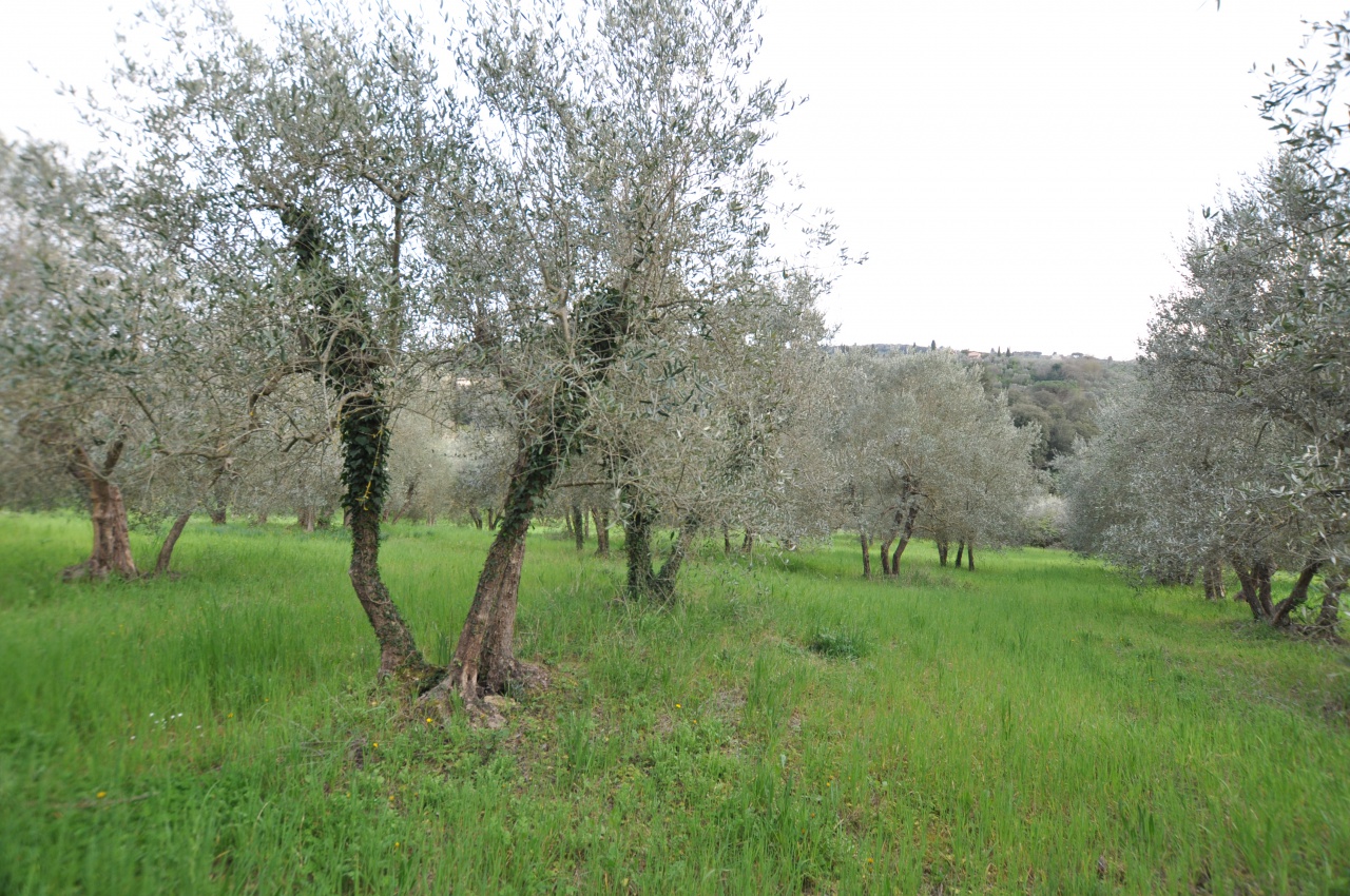 Terreno in vendita a Impruneta