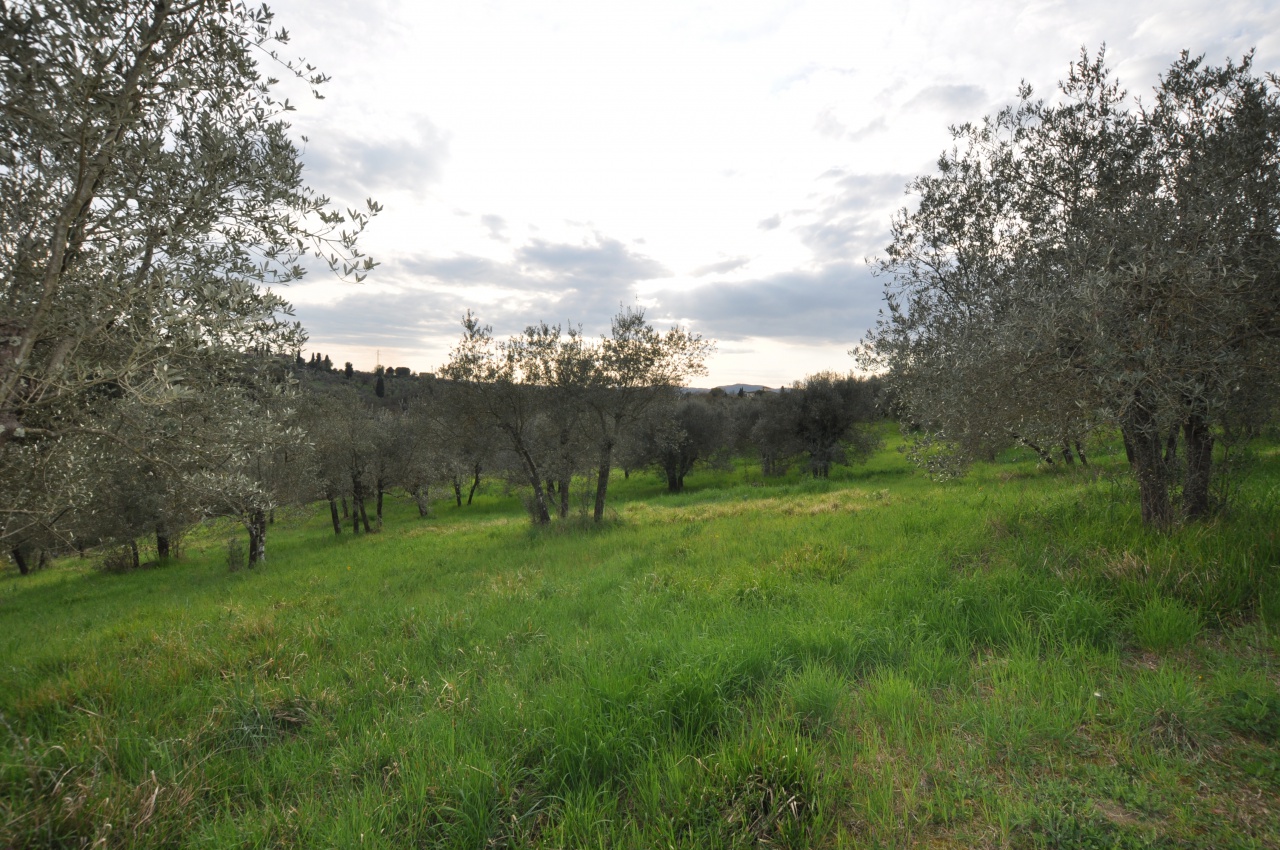 Terreno in vendita a Impruneta
