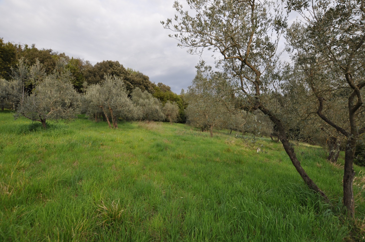Terreno in vendita a Impruneta