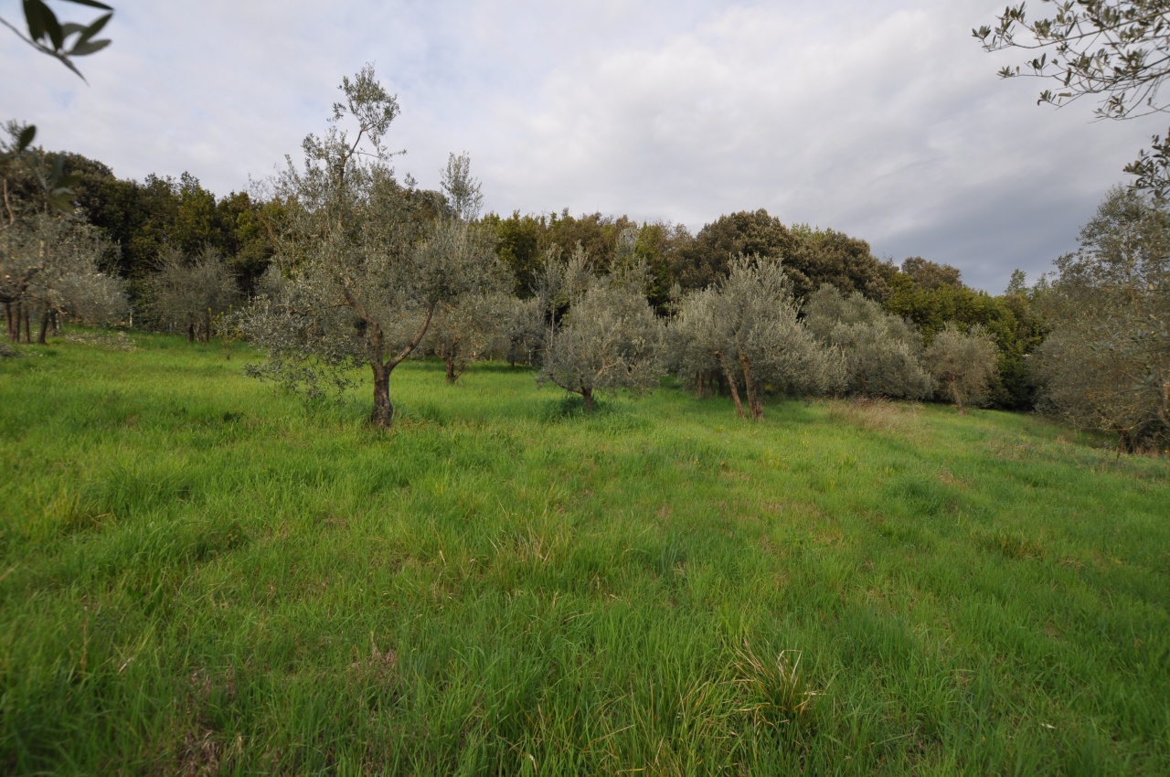 Terreno in vendita a Impruneta