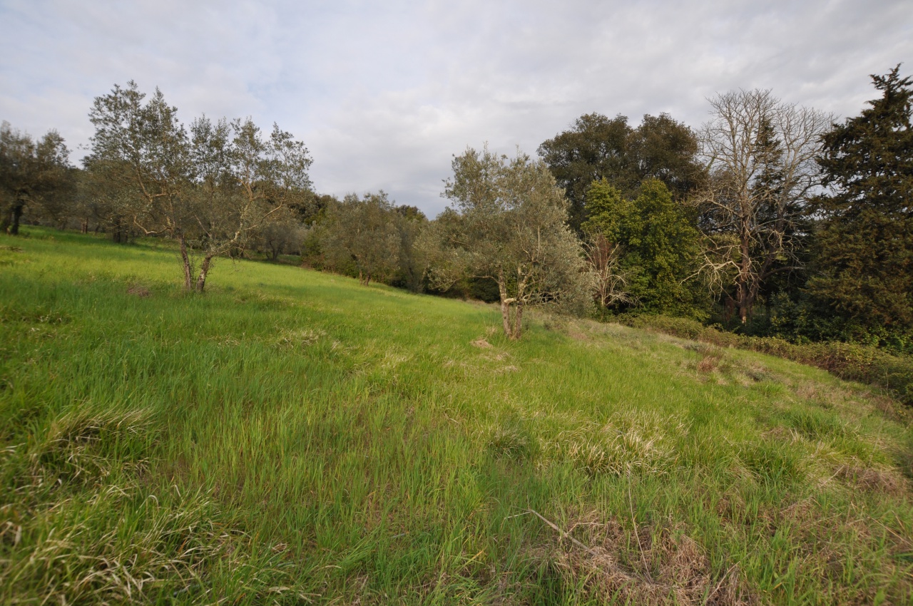Terreno in vendita a Impruneta