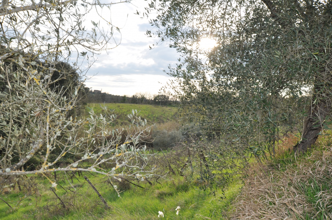 Terreno in vendita a Impruneta