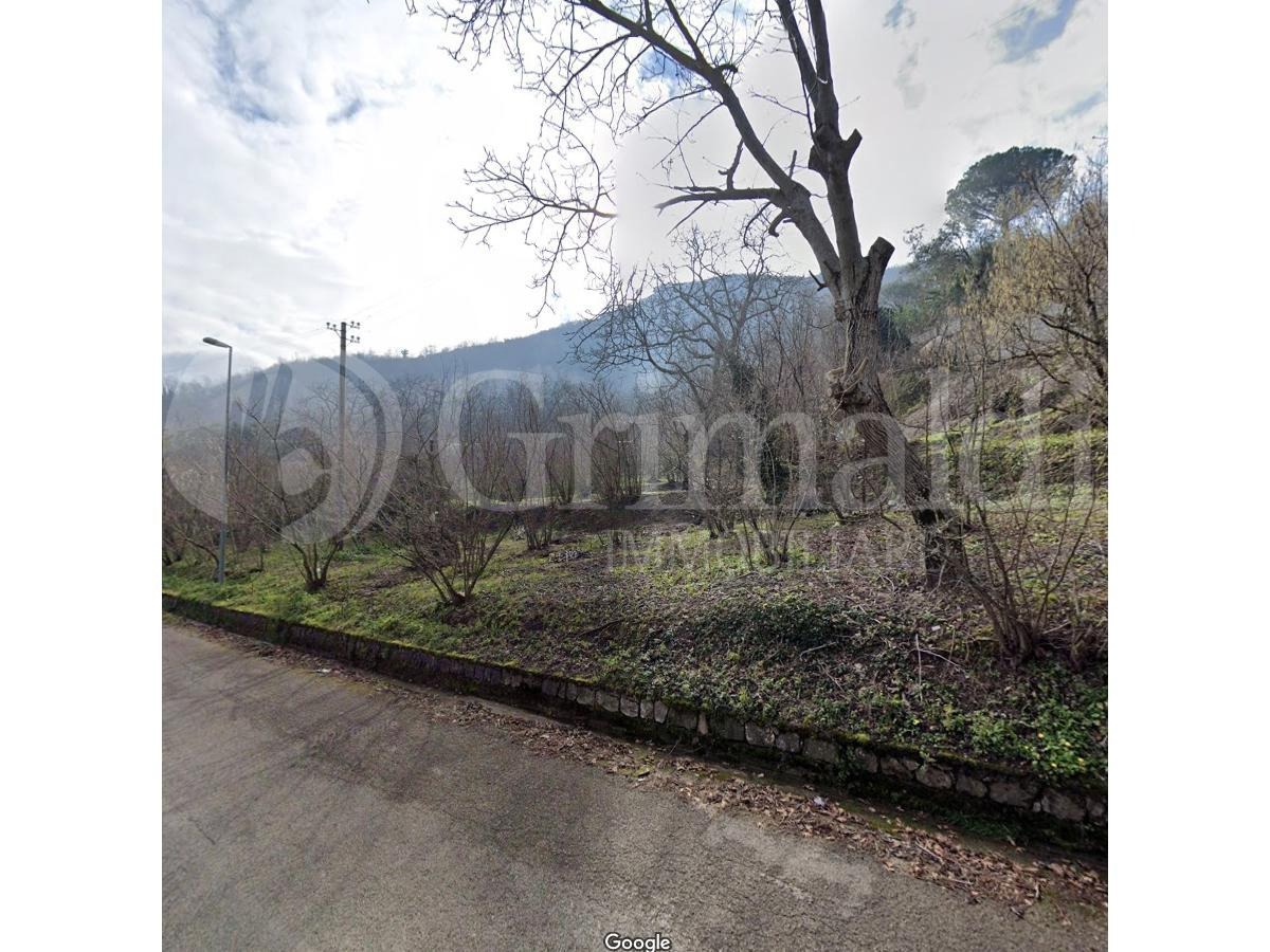 Terreno Agricolo in vendita a Montecorvino Rovella