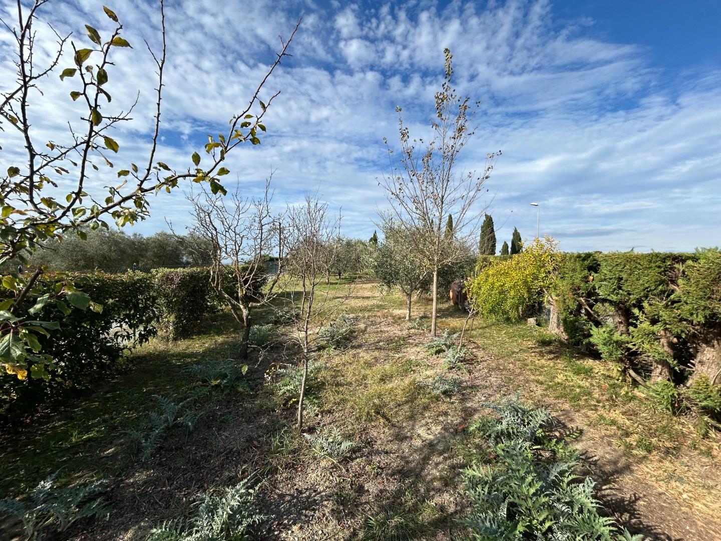 Rustico con giardino, Castelnuovo Berardenga guistrigona