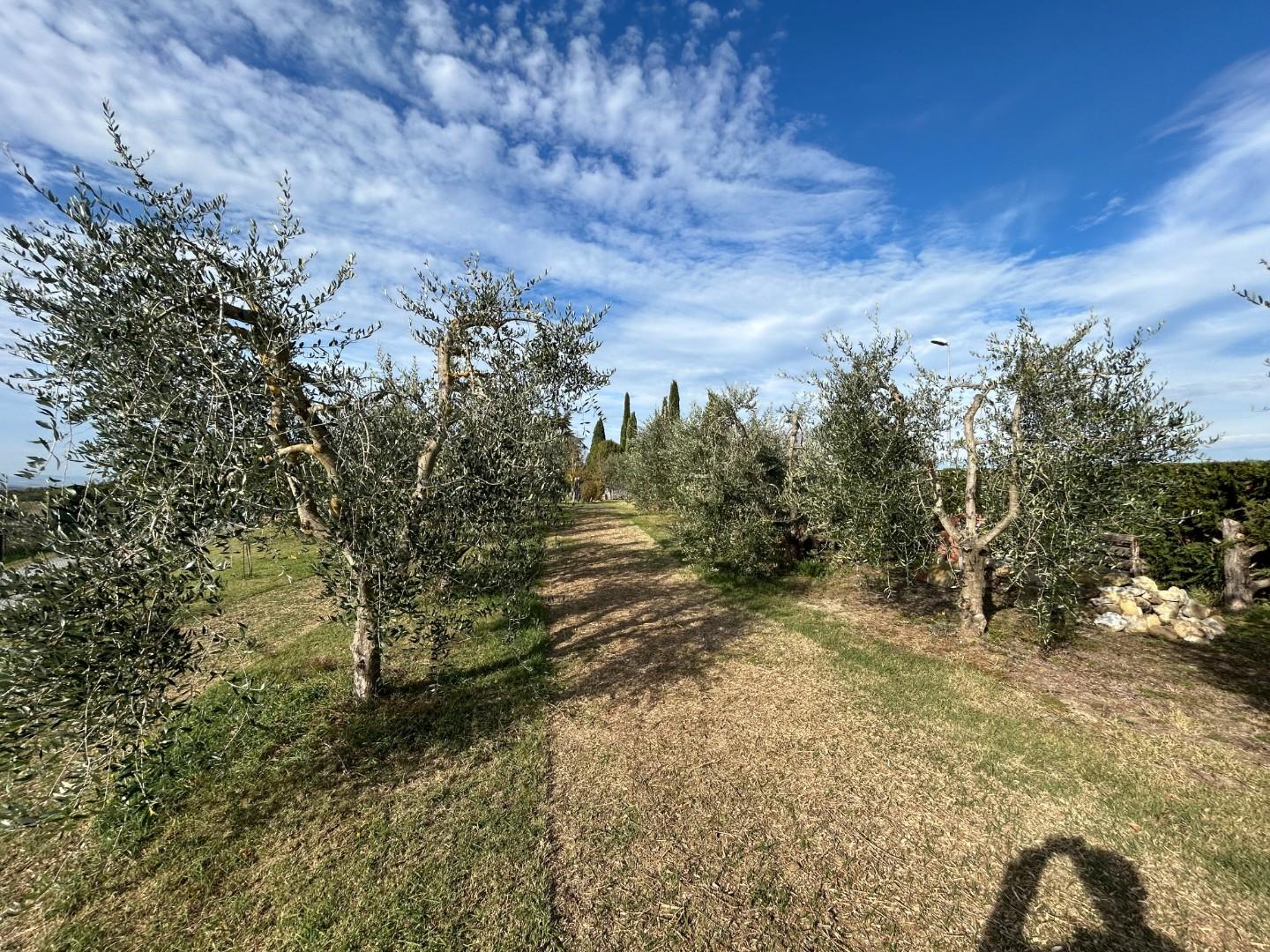 Rustico con giardino, Castelnuovo Berardenga guistrigona