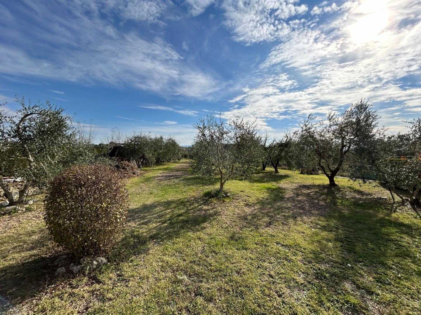 Rustico con giardino, Castelnuovo Berardenga guistrigona