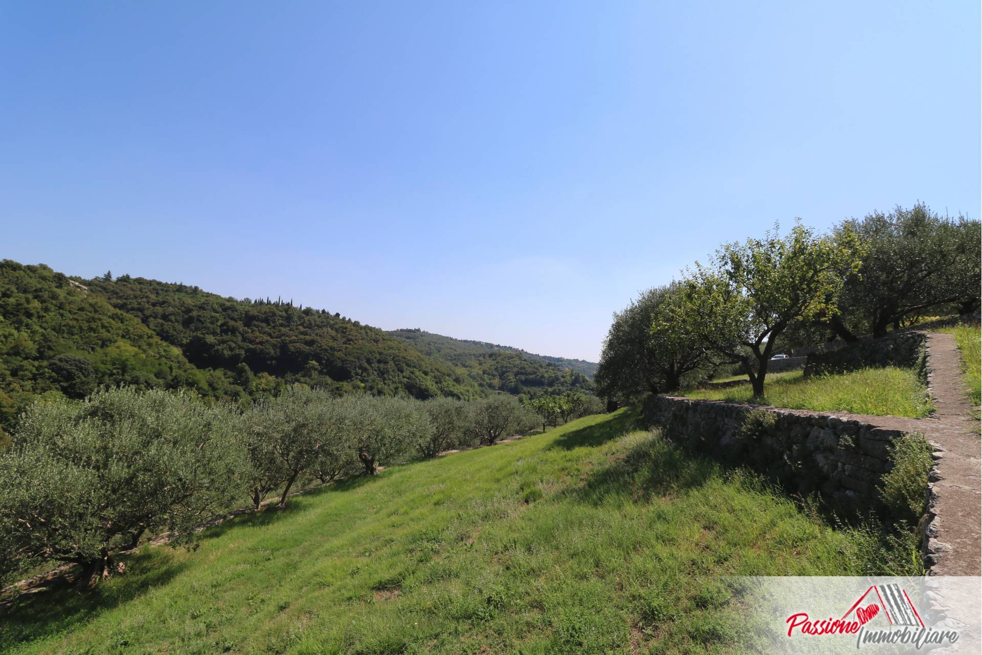 Terreno Agricolo in vendita a Verona, Avesa