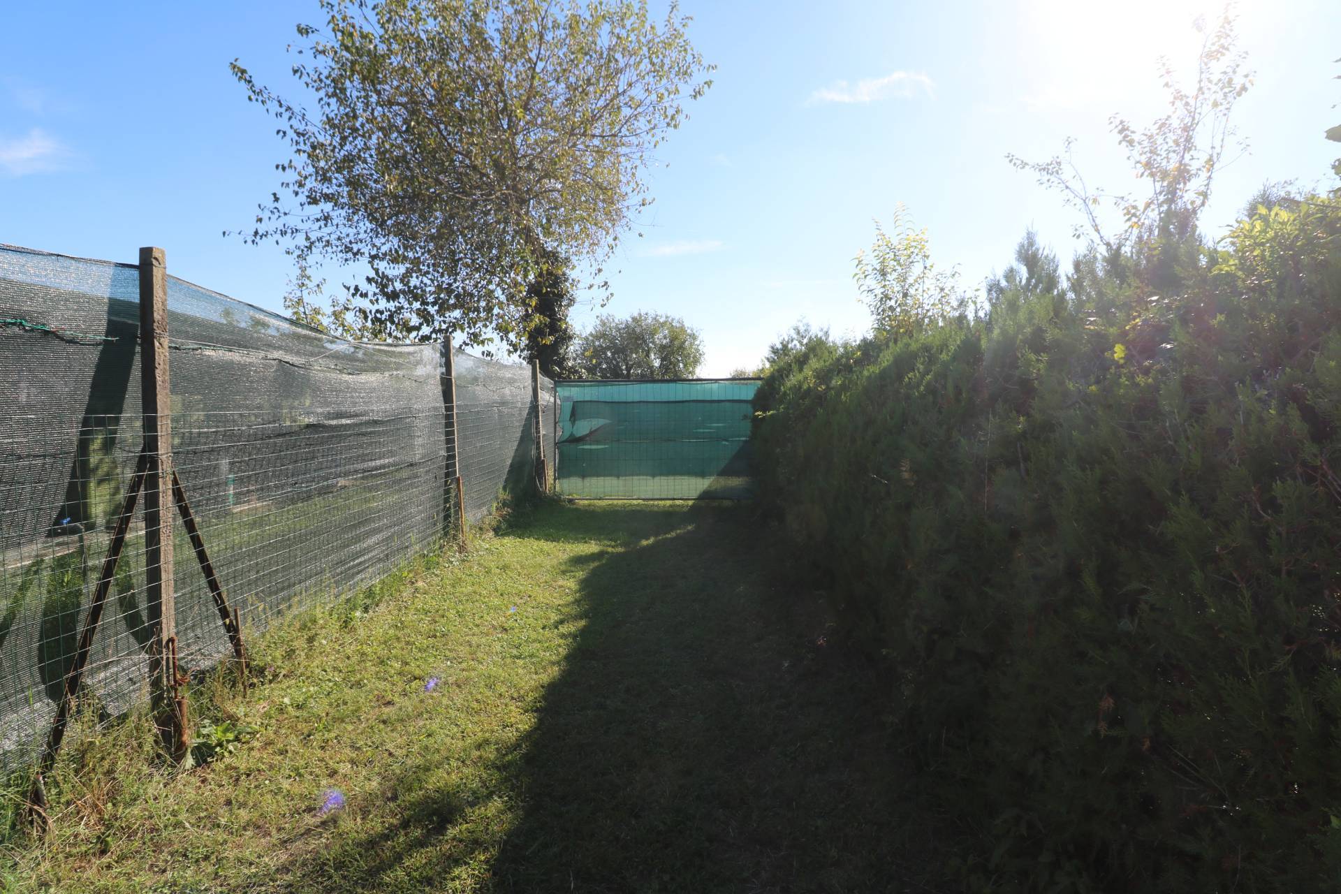 Terreno Agricolo in vendita a Verona, Parona