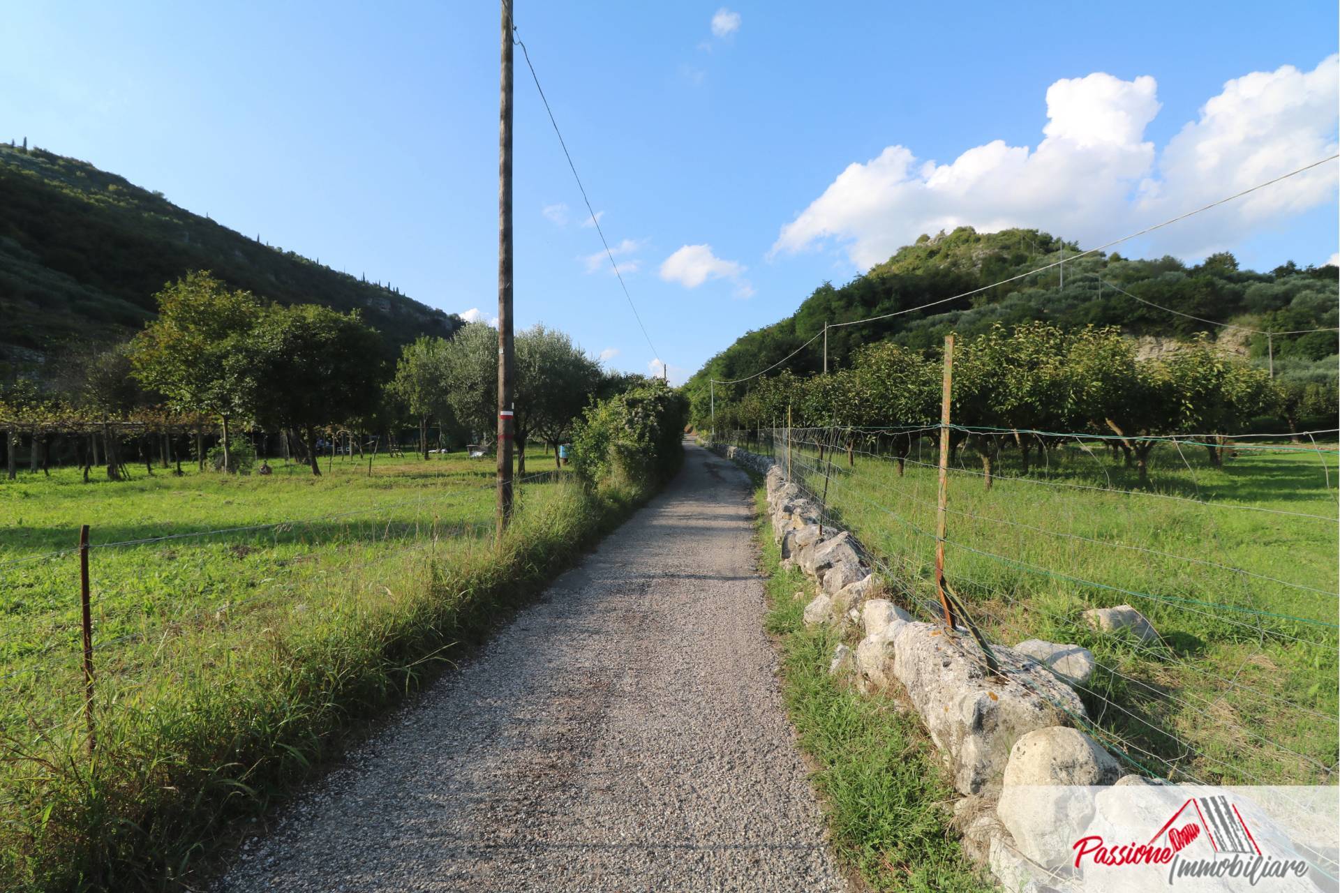 Terreno Agricolo in vendita a Verona, Avesa