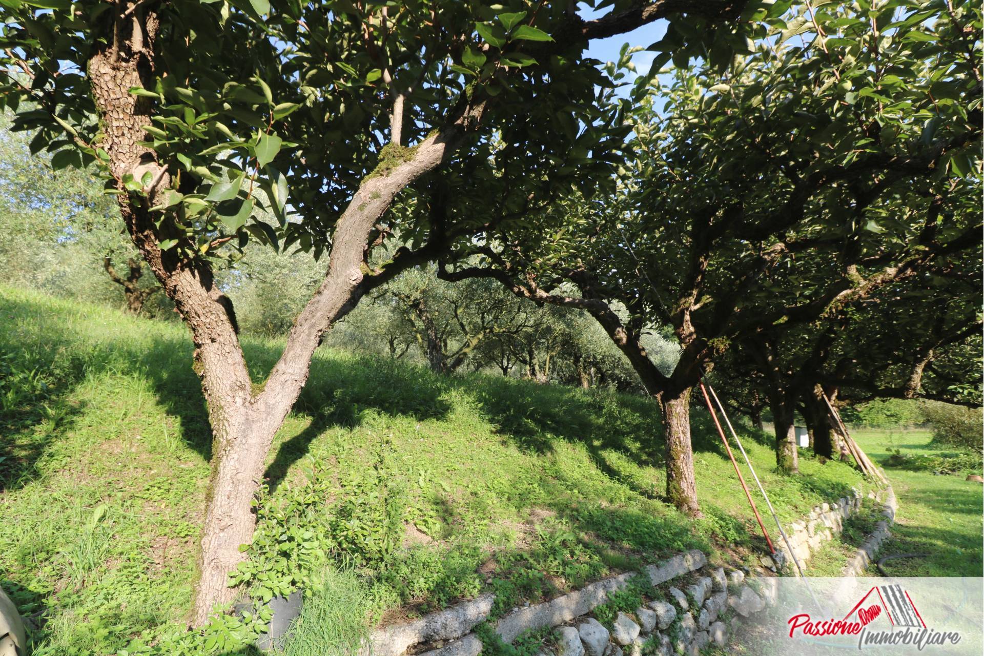 Terreno Agricolo in vendita a Verona, Avesa