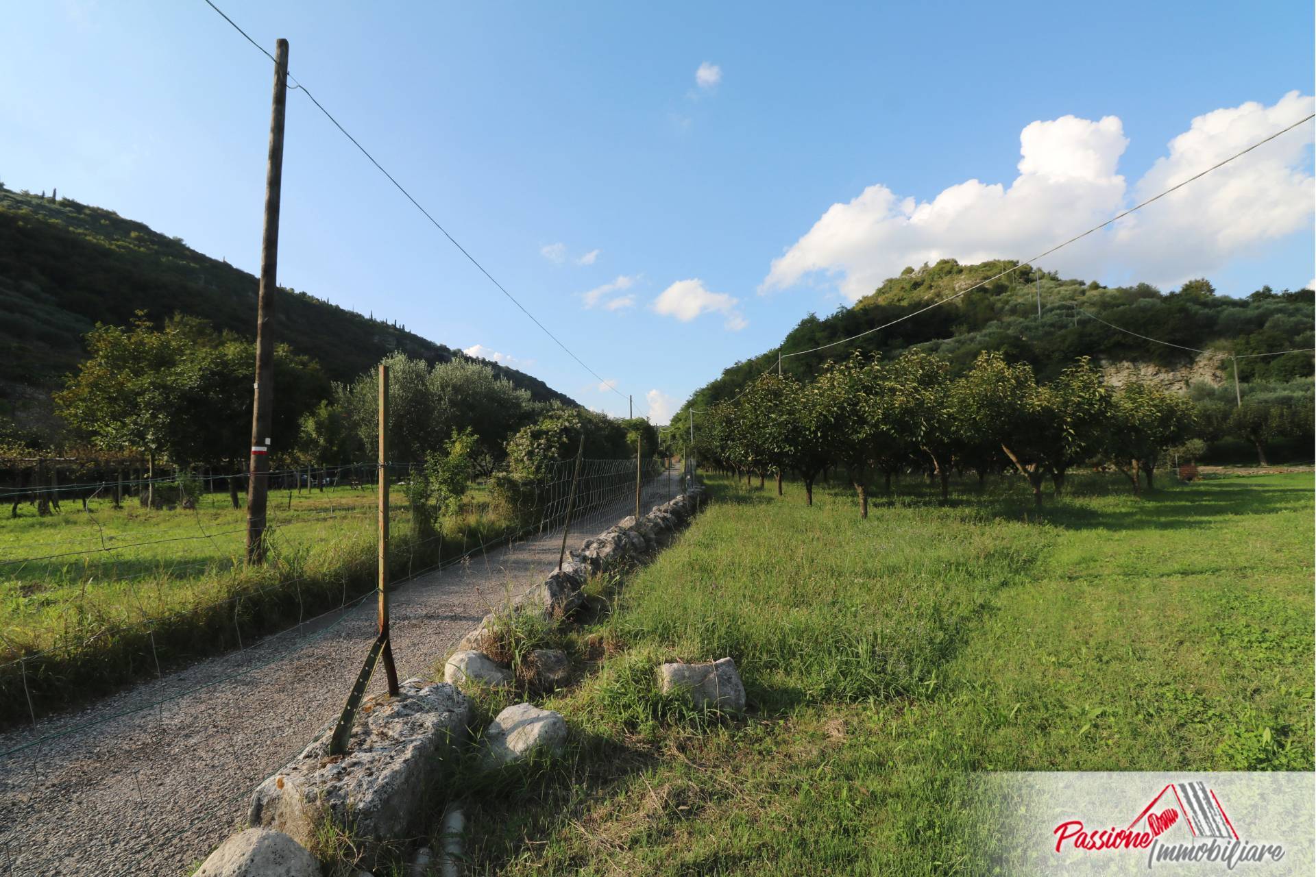 Terreno Agricolo in vendita a Verona, Avesa