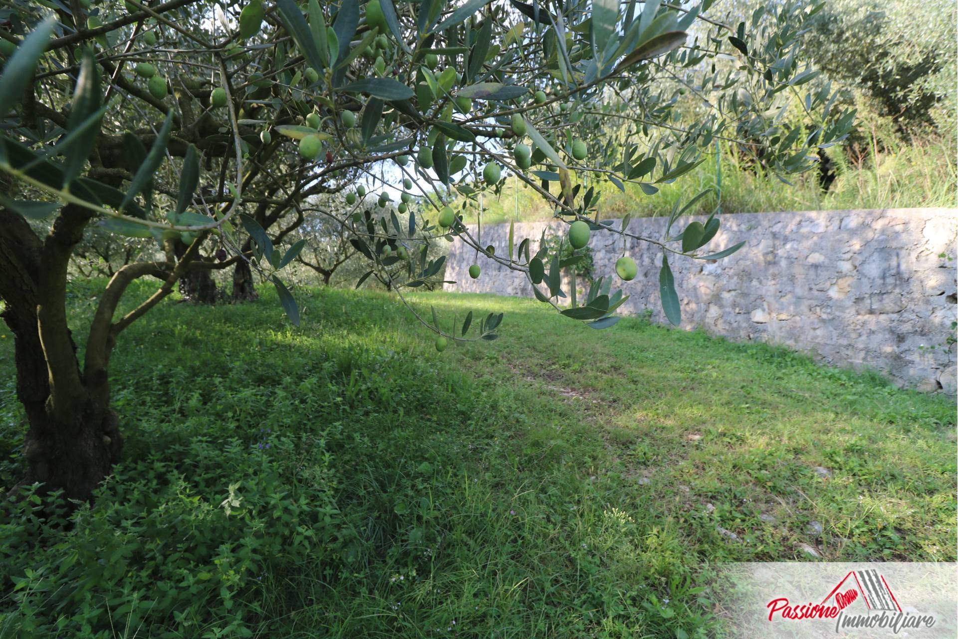 Terreno Agricolo in vendita a Verona, Avesa