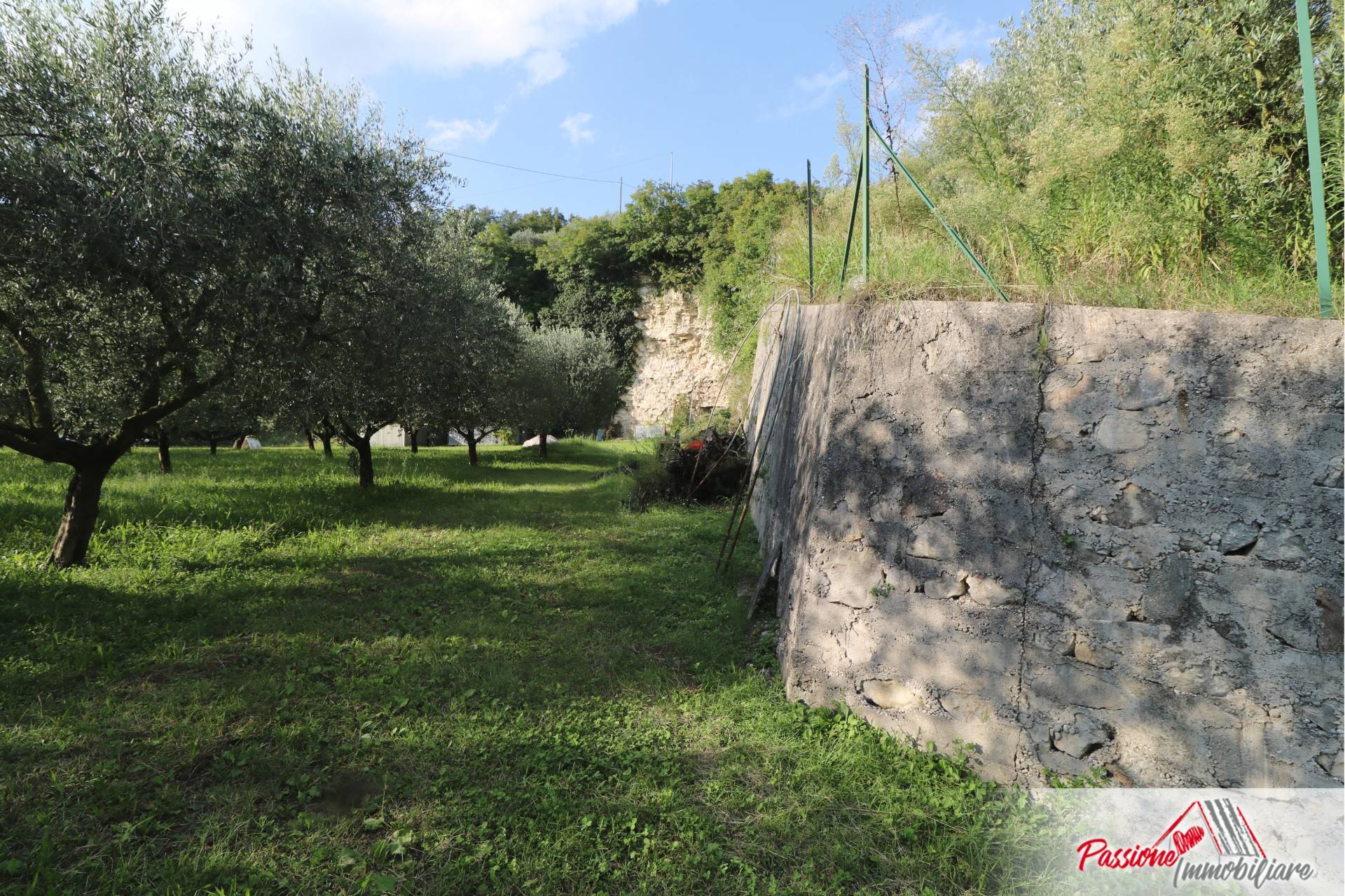 Terreno Agricolo in vendita a Verona, Avesa