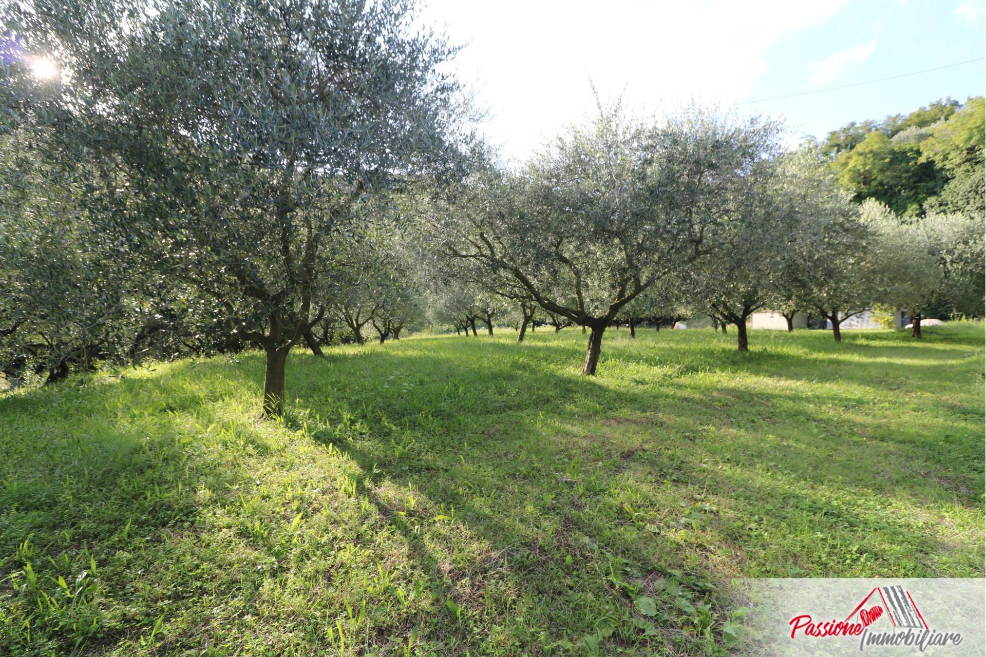 Terreno Agricolo in vendita a Verona, Avesa