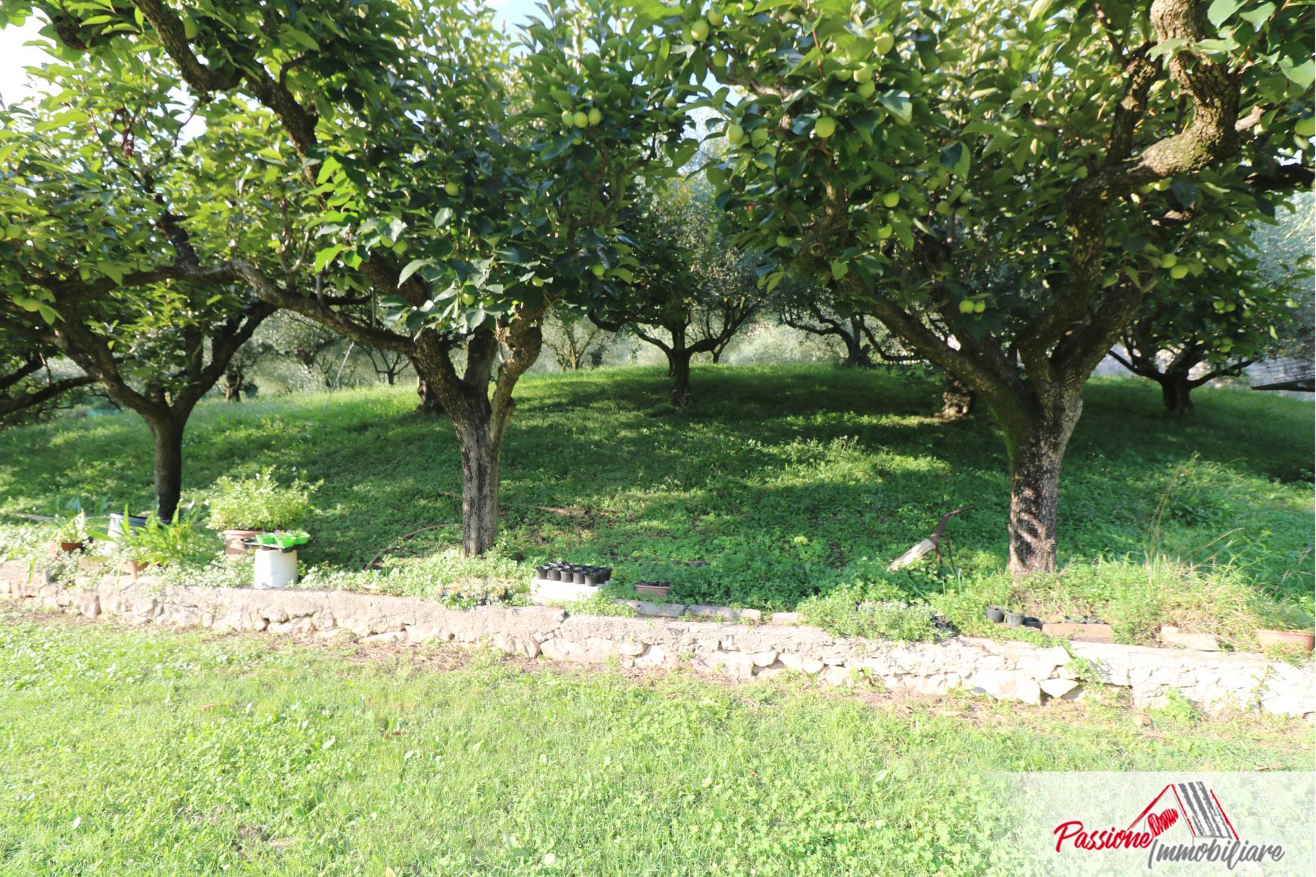 Terreno Agricolo in vendita a Verona, Avesa