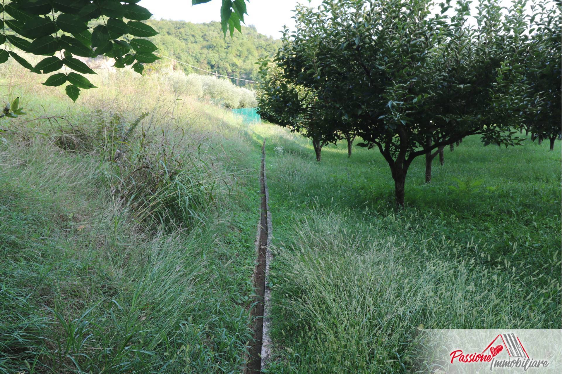 Terreno Agricolo in vendita a Verona, Avesa