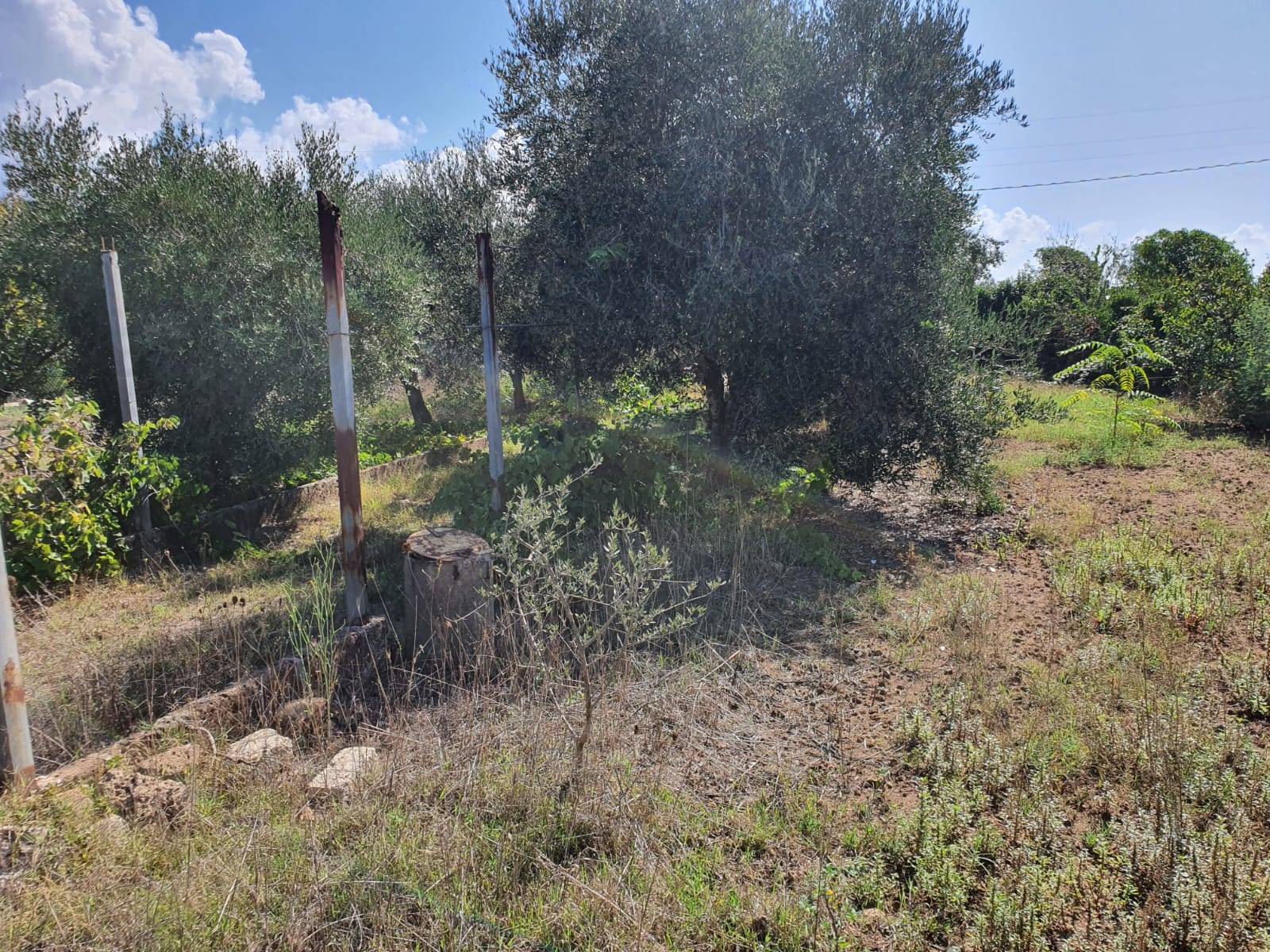 Terreno edificabile in vendita a Ladispoli