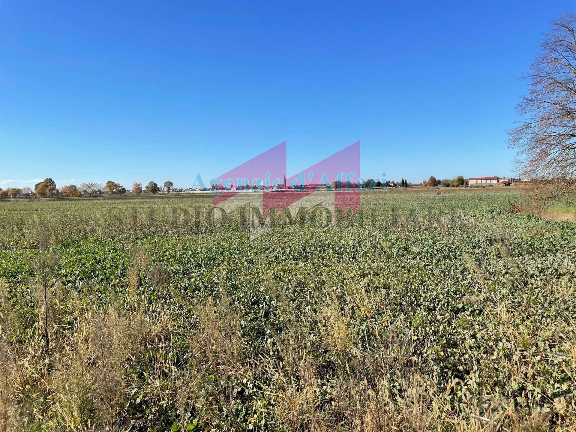 Terreno Agricolo in vendita a Ceneselli