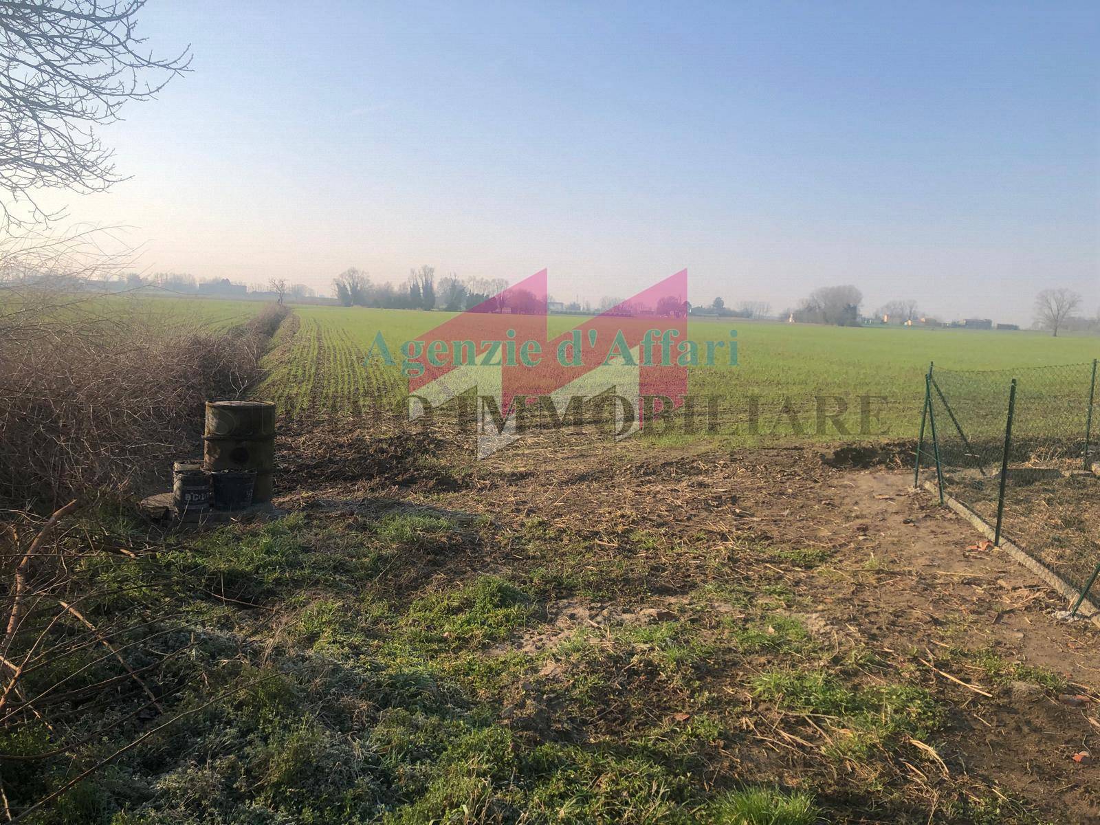 Terreno Agricolo in vendita a Trecenta