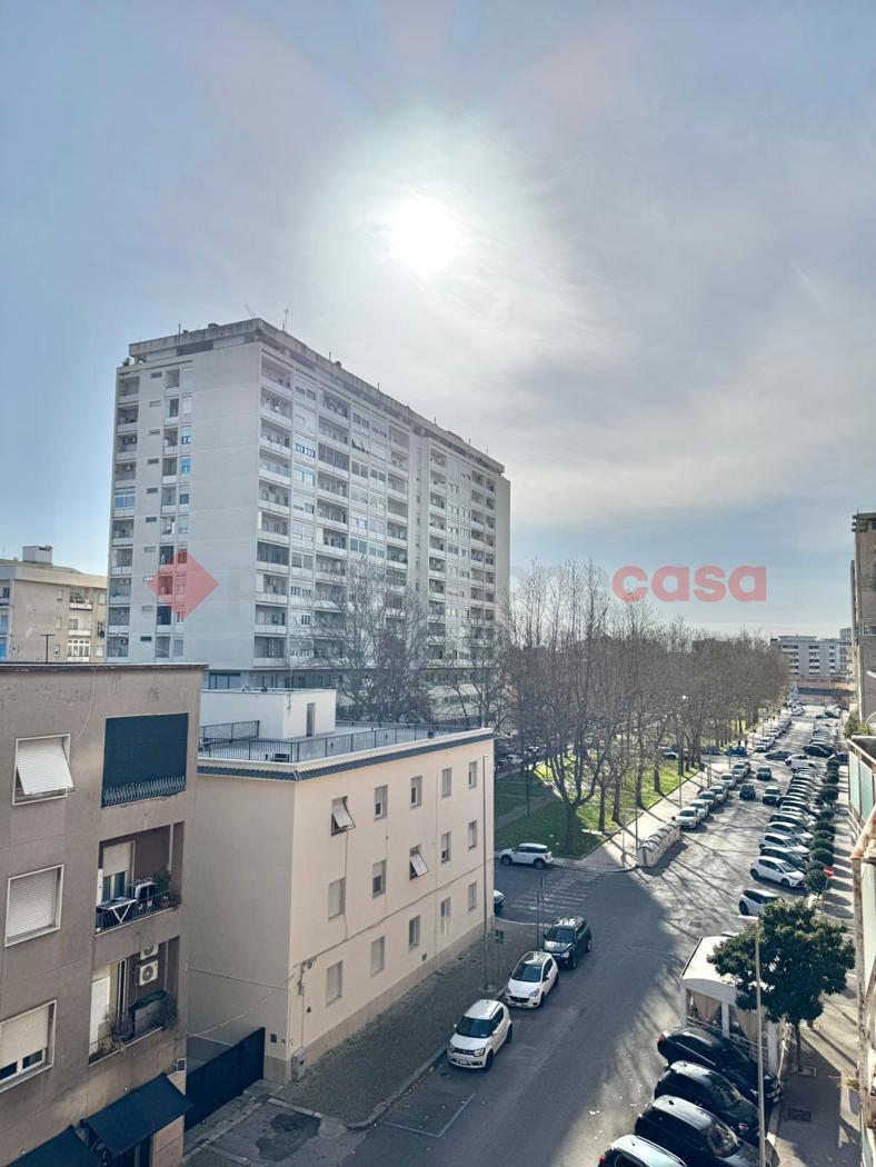 Quadrilocale arredato in affitto a Latina